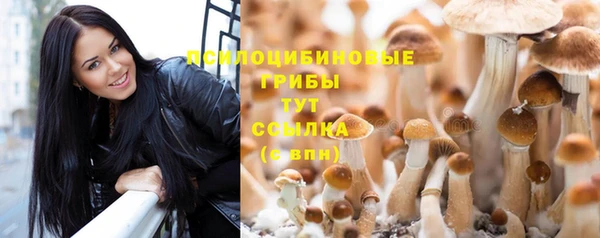мет Краснослободск